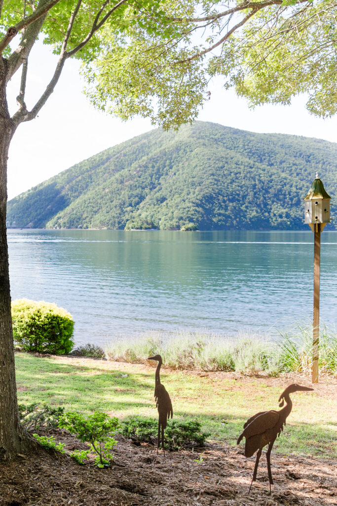 Smith Mountain Lake scenery