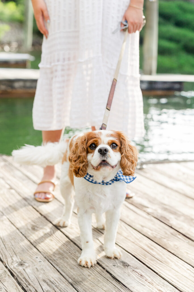 Smith Mountain Lake VA Family Photographer