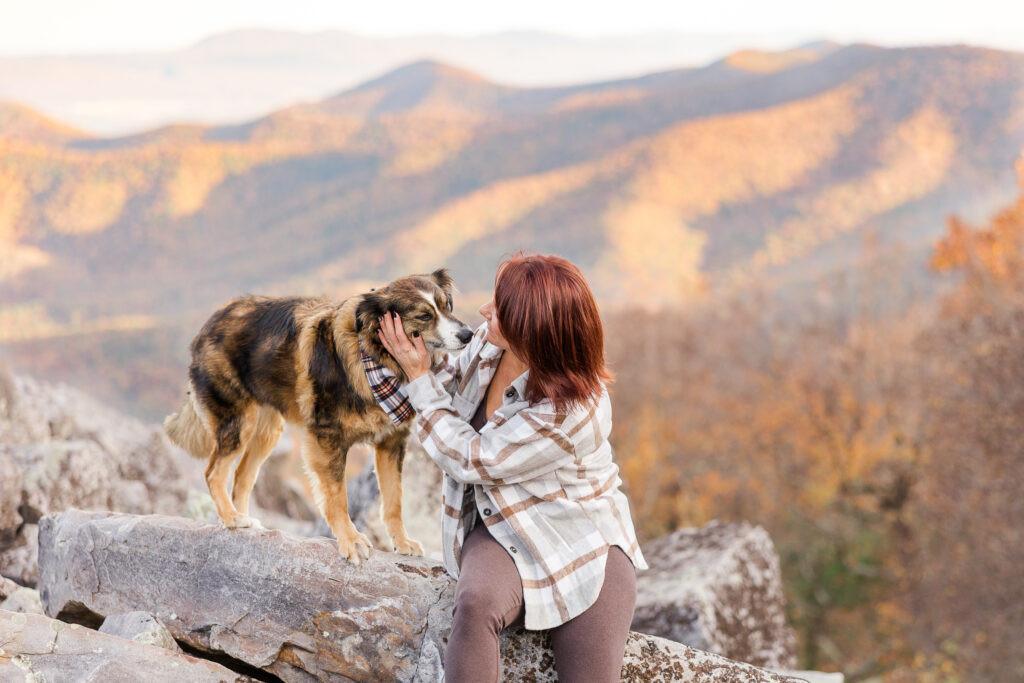 Shenandoah Dog friendly hikes