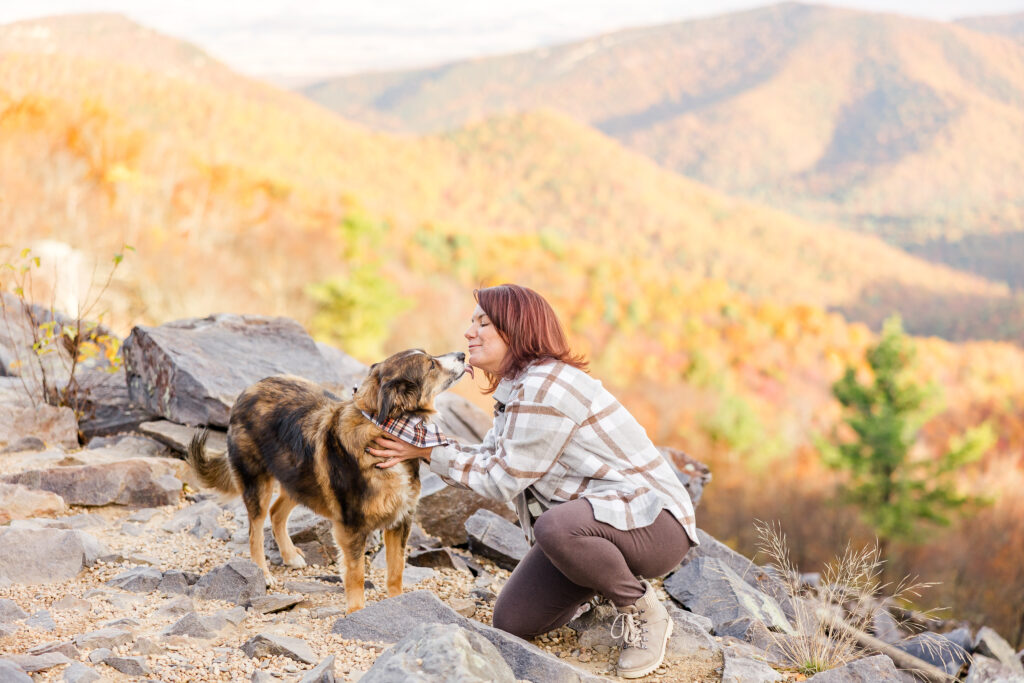 Shenandoah dog friendly