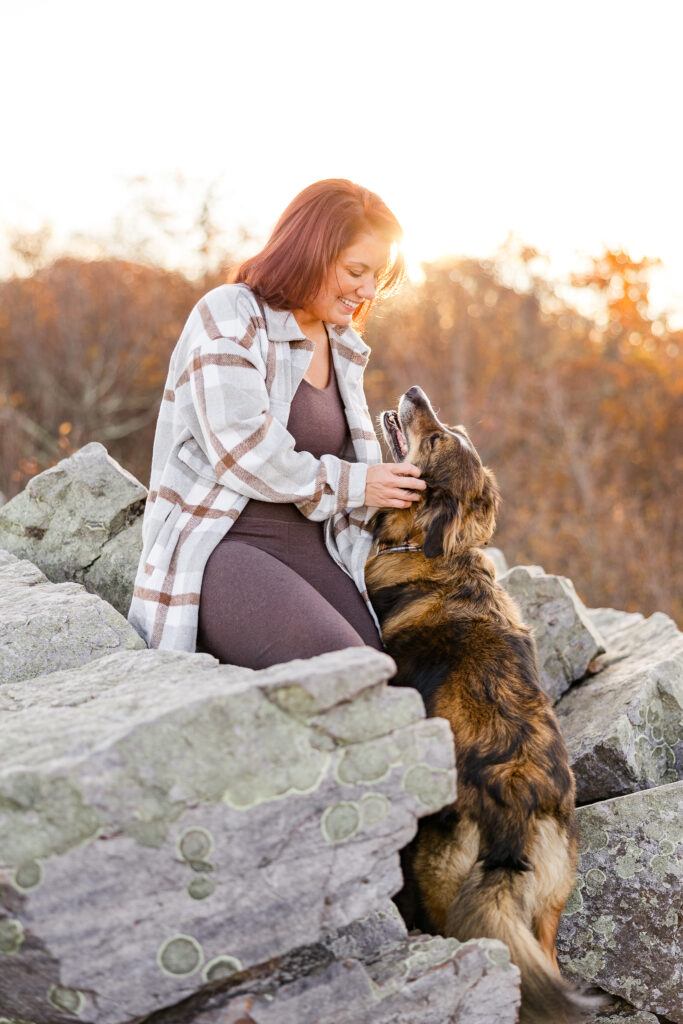 Shenandoah dog friendly