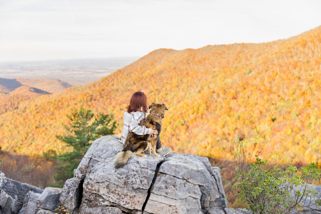 Shenandoah photographer