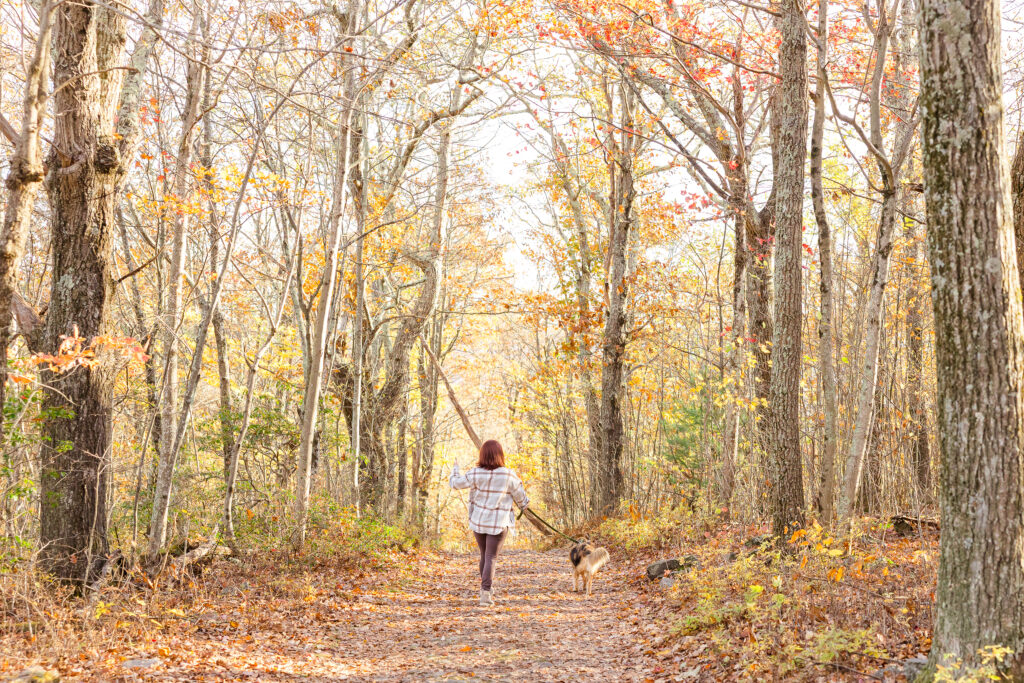 hiking at Shenandoah
